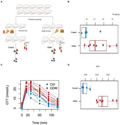 Suppression of certain intestinal microbiota metabolites may lead to gestational diabetes in mice fed a high-fat diet